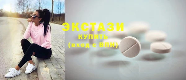 ECSTASY Богородицк